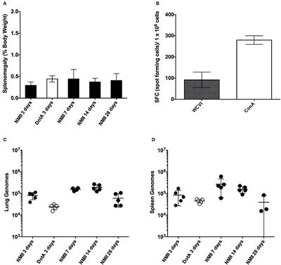 The SCID Mouse Model for Identifying Virulence Determinants in Coxiella burnetii